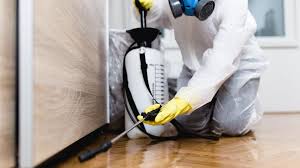 Real Estate Pest Inspections in Millbrook, NY